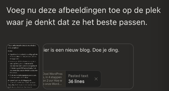 Chatbericht: Voeg nu deze afbeeldingen toe op de plek waar je denkt dat ze het beste passen. Met de twee schermafbeeldingen hierboven als bijlage.